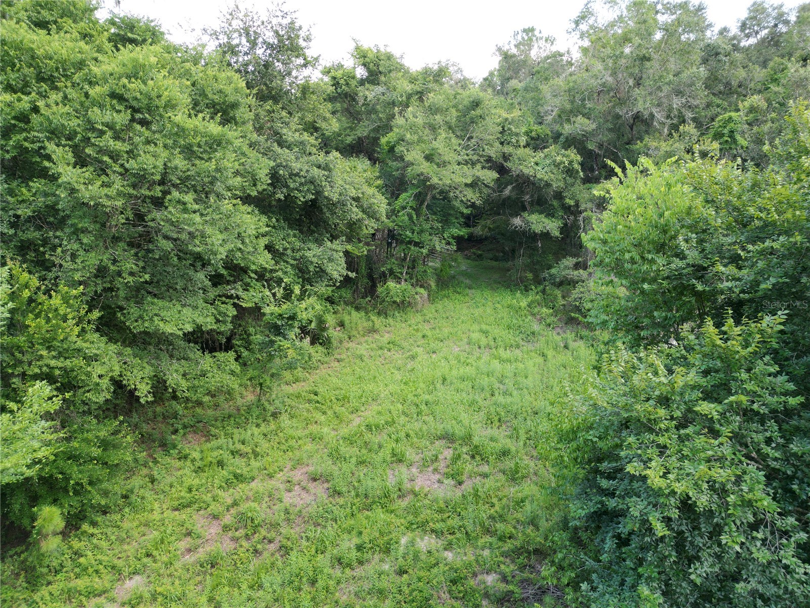 TBD SW 31st Way Way Webster FL 33597 G5108008 image5