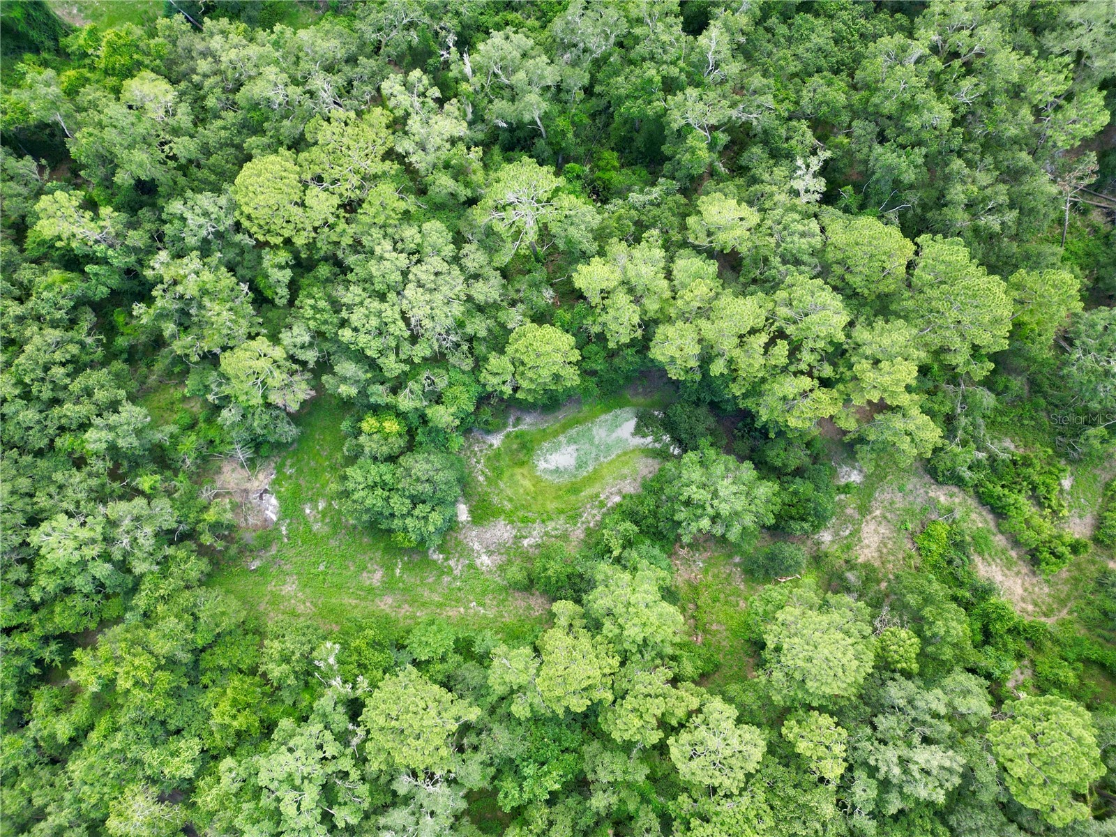 TBD SW 31st Way Way Webster FL 33597 G5108008 image6