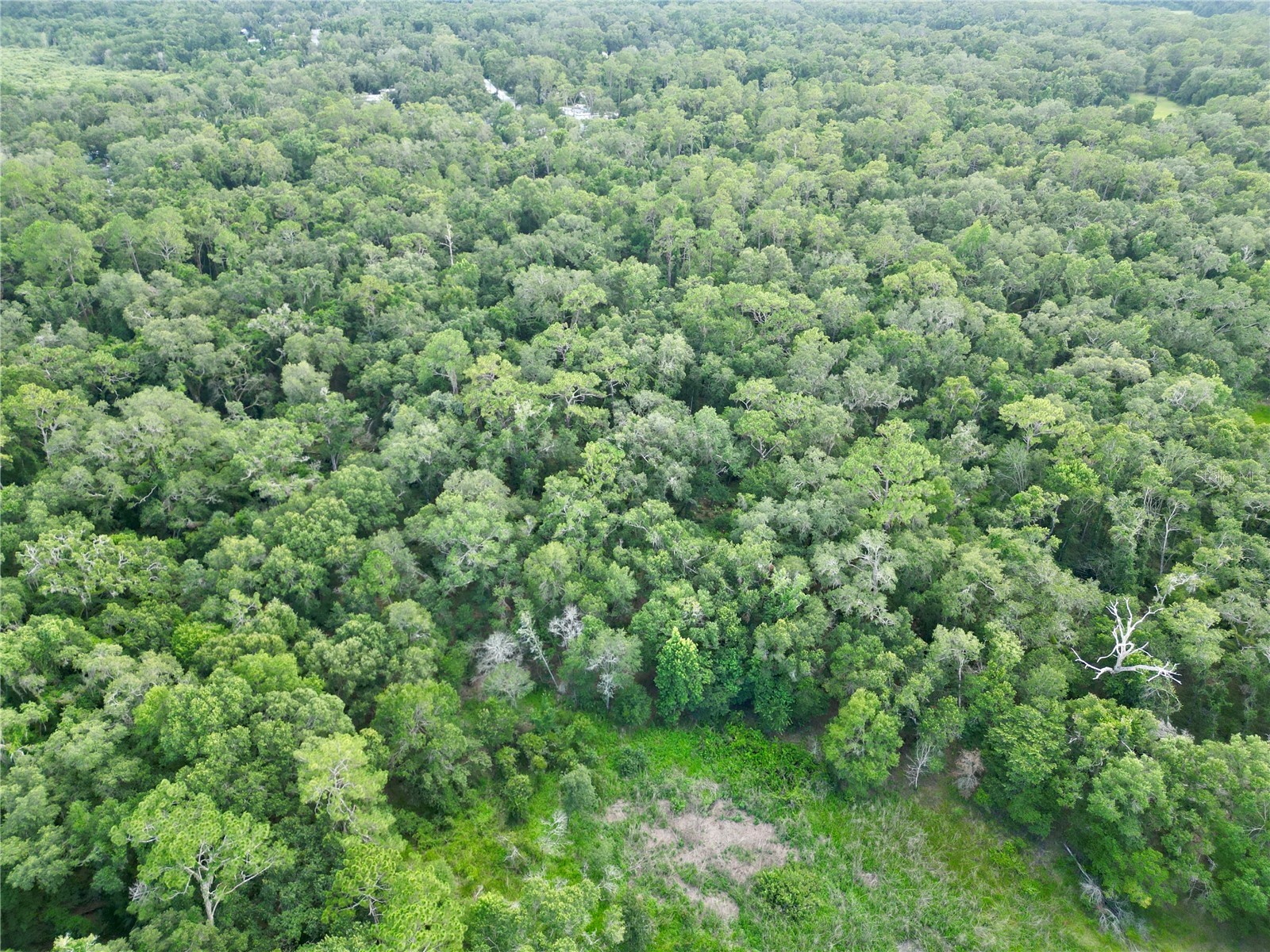 TBD SW 31st Way Way Webster FL 33597 G5108008 image7