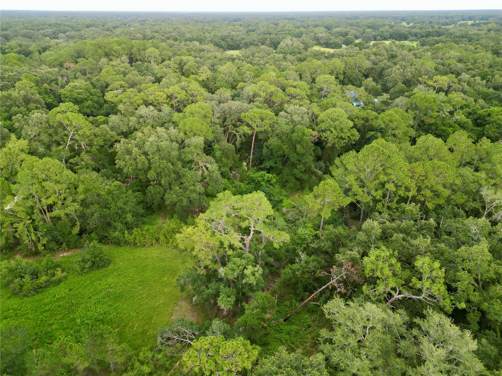 TBD SW 31st Way Way Webster FL 33597 G5108008 image8