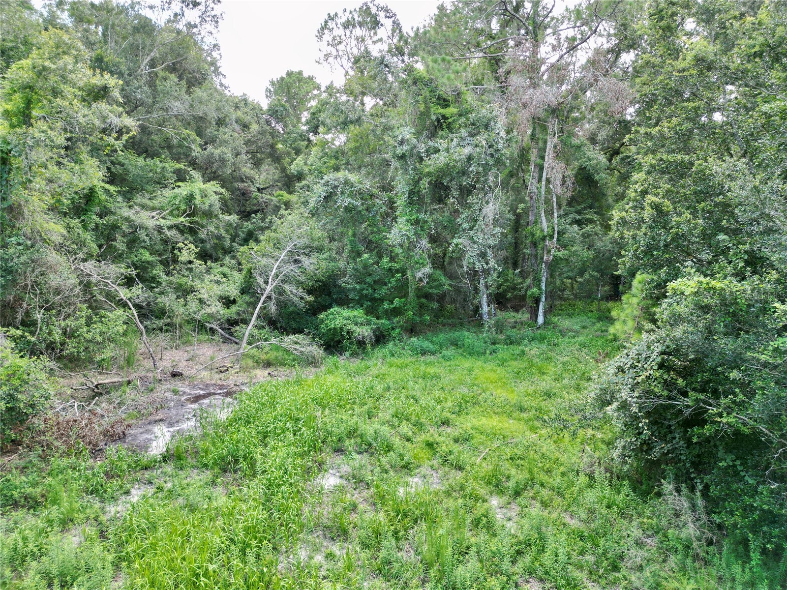 TBD SW 31st Way Way Webster FL 33597 G5108008 image9