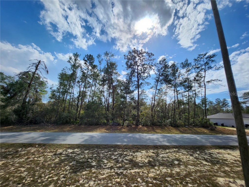 TBD SW 32 Circle Ocala FL 34473 OM695192 image4