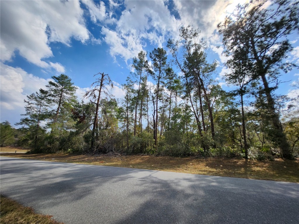 TBD SW 32 Circle Ocala FL 34473 OM695192 image5