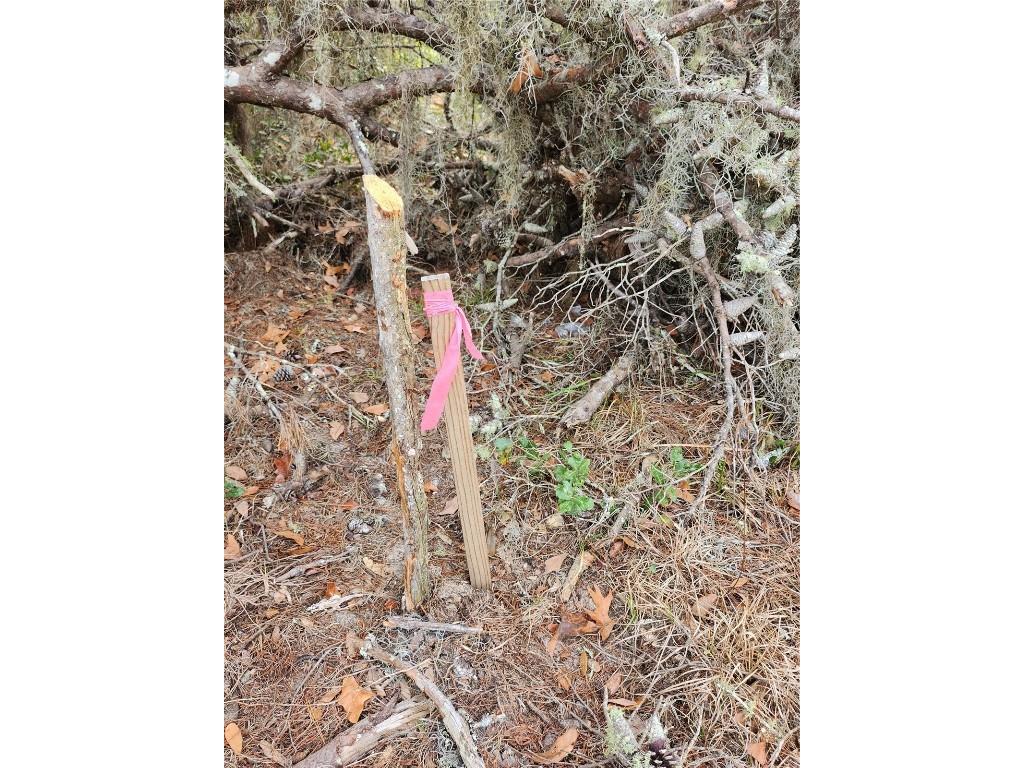 TBD SW 32 Circle Ocala FL 34473 OM695192 image9