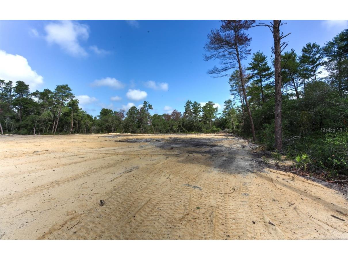 TBD SW 32nd Circle Ocala FL 34473 OM704961 image14