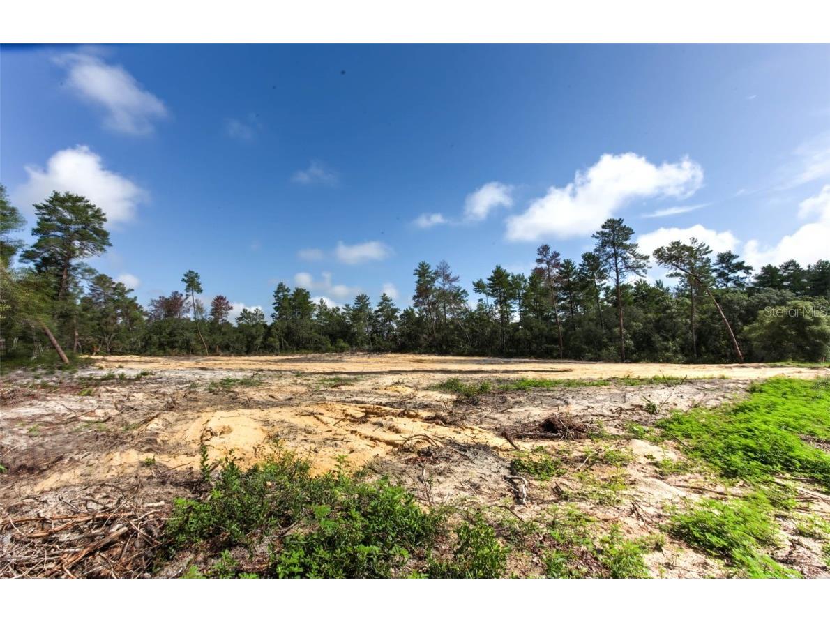 TBD SW 32nd Circle Ocala FL 34473 OM704961 image3