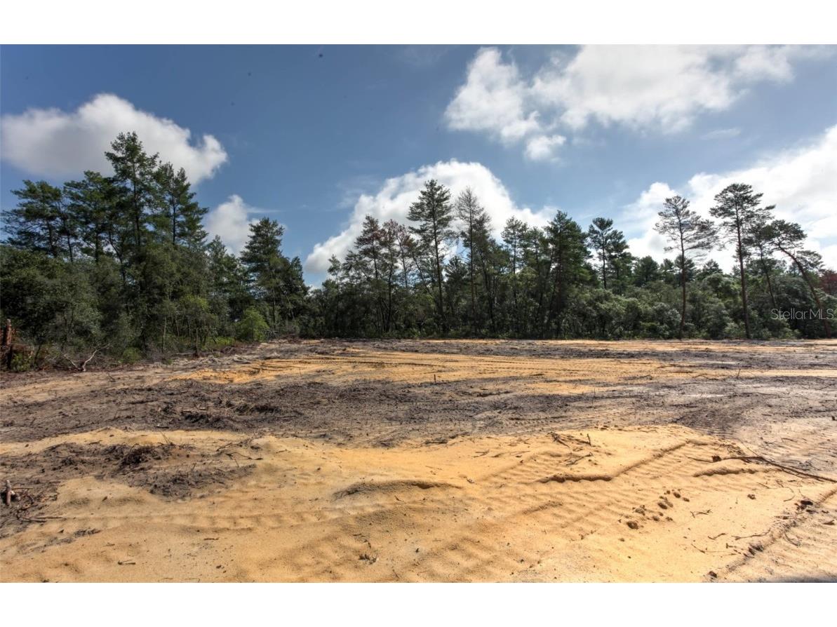 TBD SW 32nd Circle Ocala FL 34473 OM704961 image5