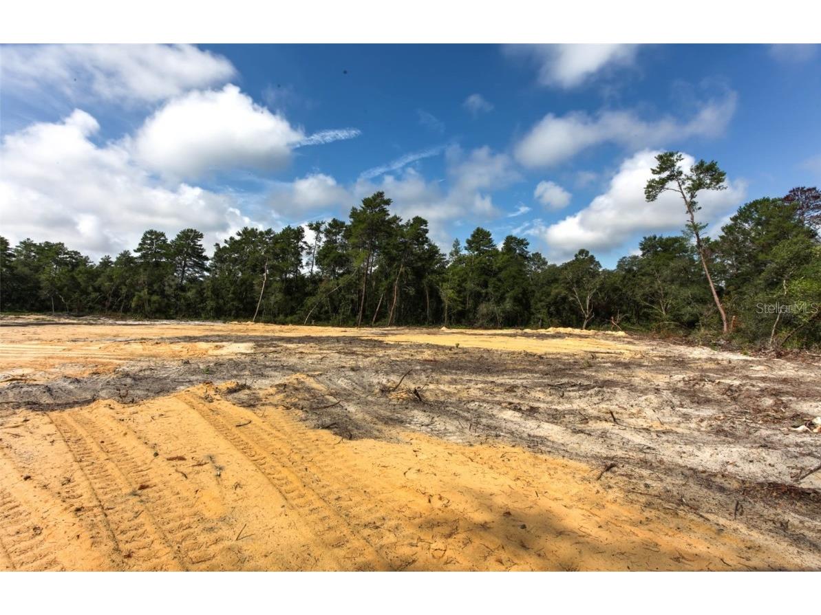 TBD SW 32nd Circle Ocala FL 34473 OM704961 image6