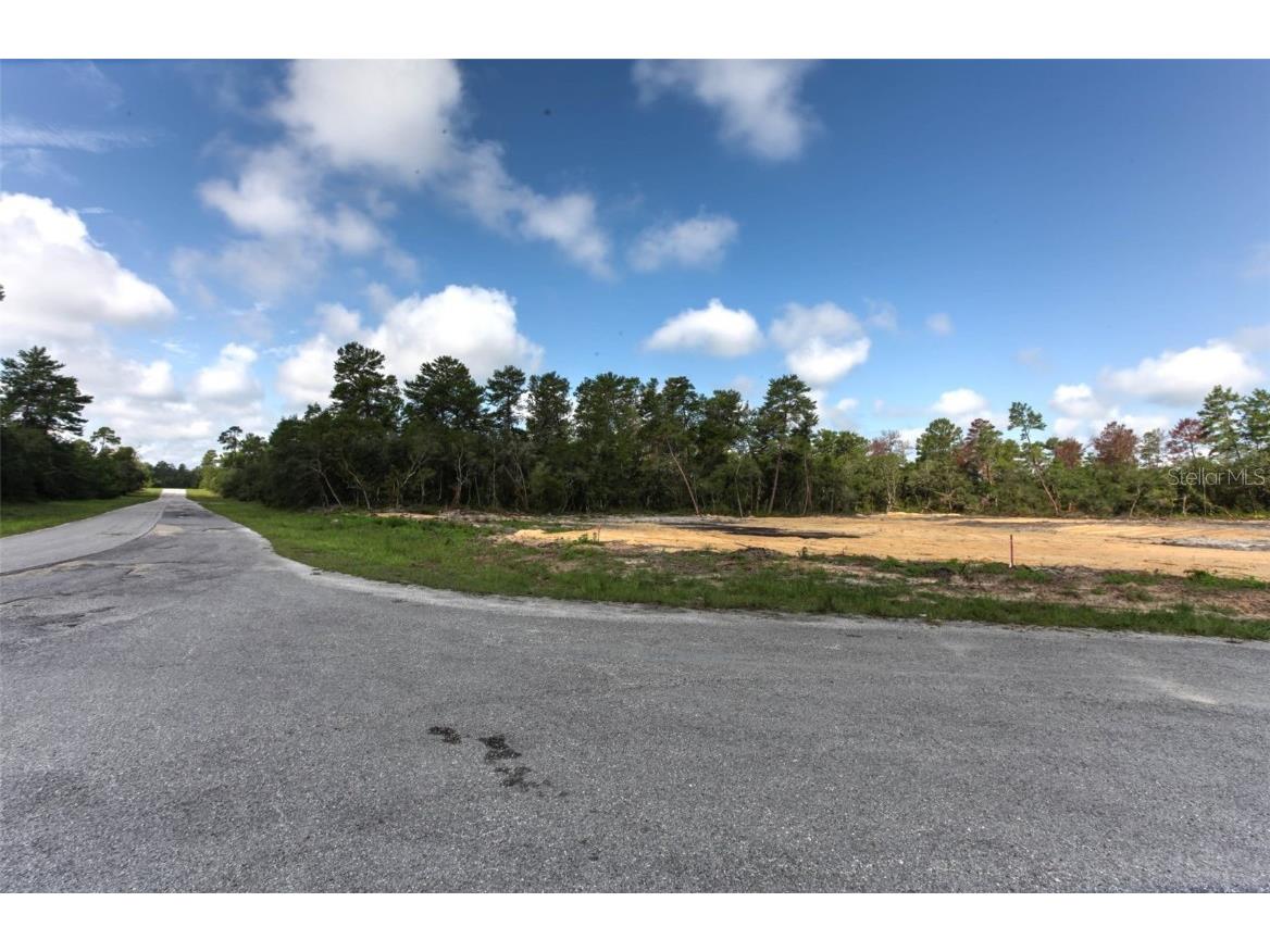 TBD SW 32nd Circle Ocala FL 34473 OM704961 image9