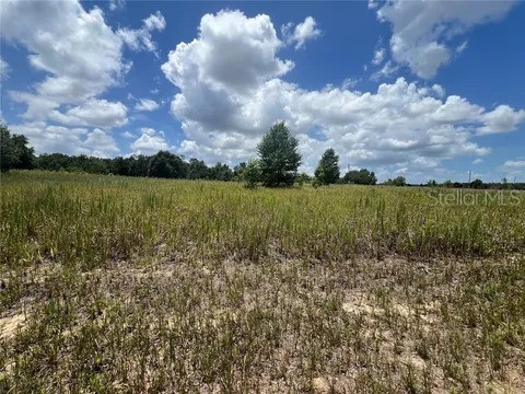 TBD SW 33rd Lane Ocala FL 34481 OM688498 image1