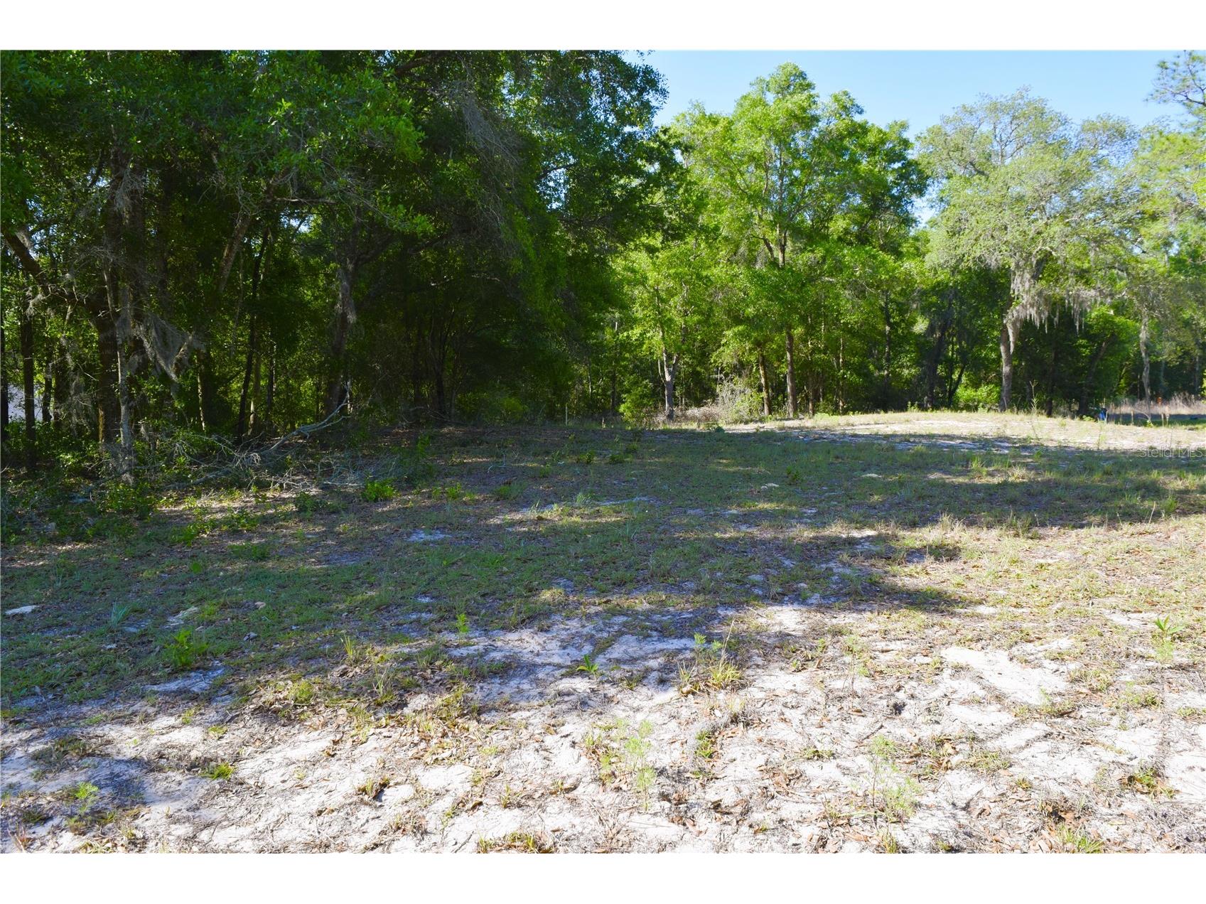 TBD SW 34 Street Ocala FL 34481 OM723121 image3