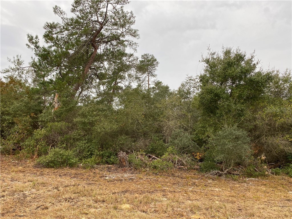 TBD SW 35 Terr Ocala FL 34473 OM612912 image1