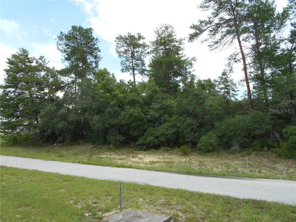 TBD Sw 35th Avenue Road Ocala FL 34473 U8170395 image1