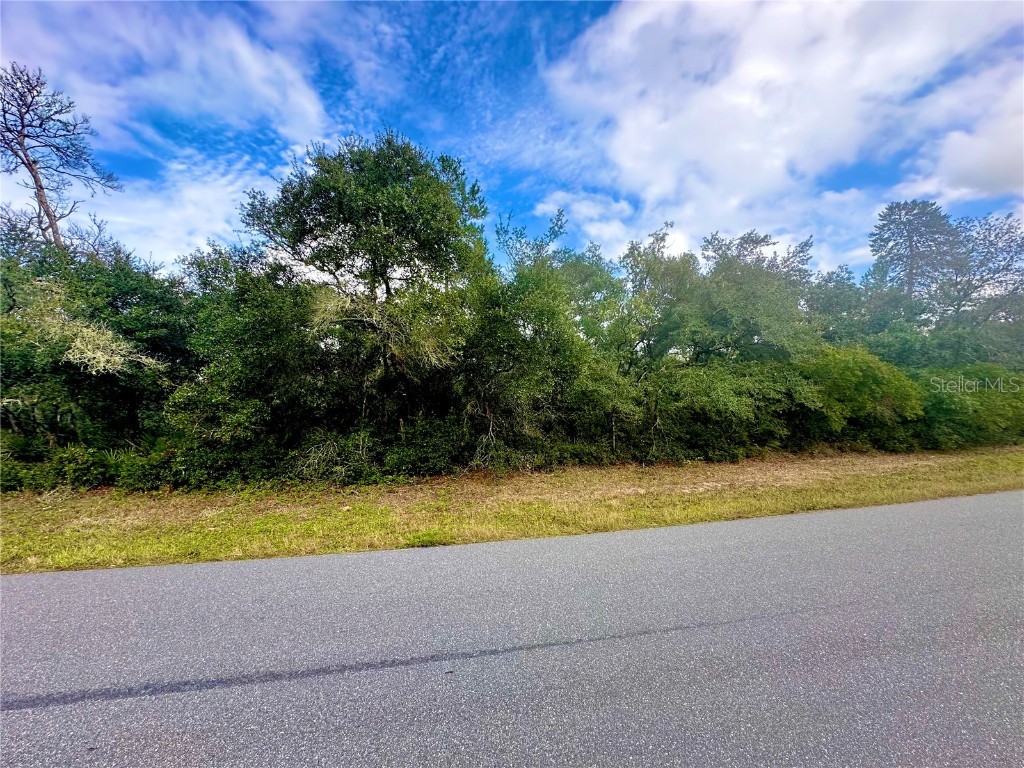TBD SW 35th Court Road #LOT 09 Ocala FL 34473 O6306122 image1