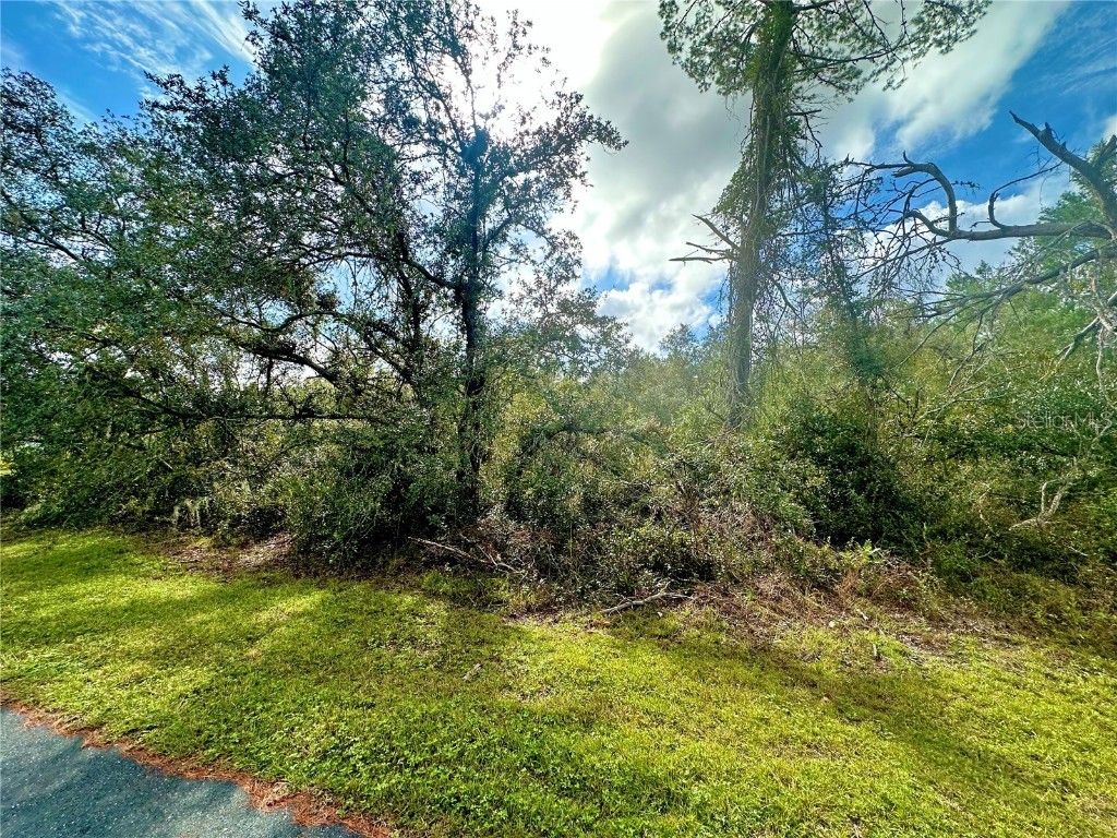 TBD SW 35th Court Road #LOT 27 Ocala FL 34473 O6305722 image1