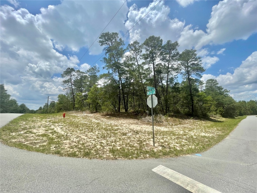 TBD SW 35th Terrace Road #LOT 9 Ocala FL 34473 OM658205 image1