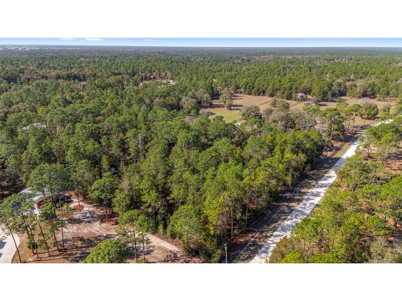 TBD SW 36th Street Ocala FL 34481 OM695238 image11