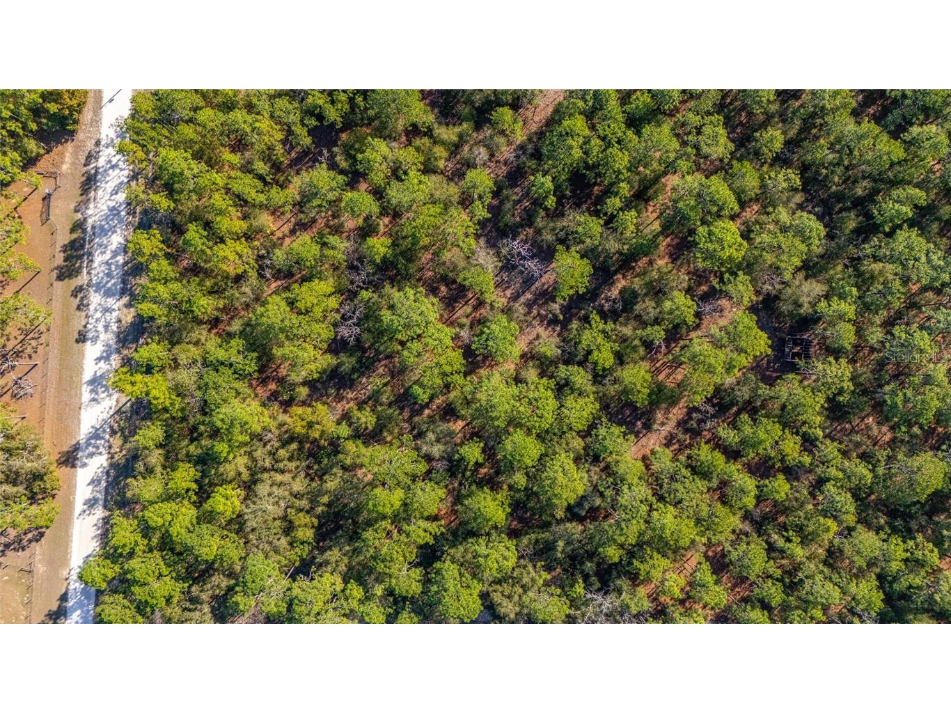 TBD SW 36th Street Ocala FL 34481 OM695238 image14