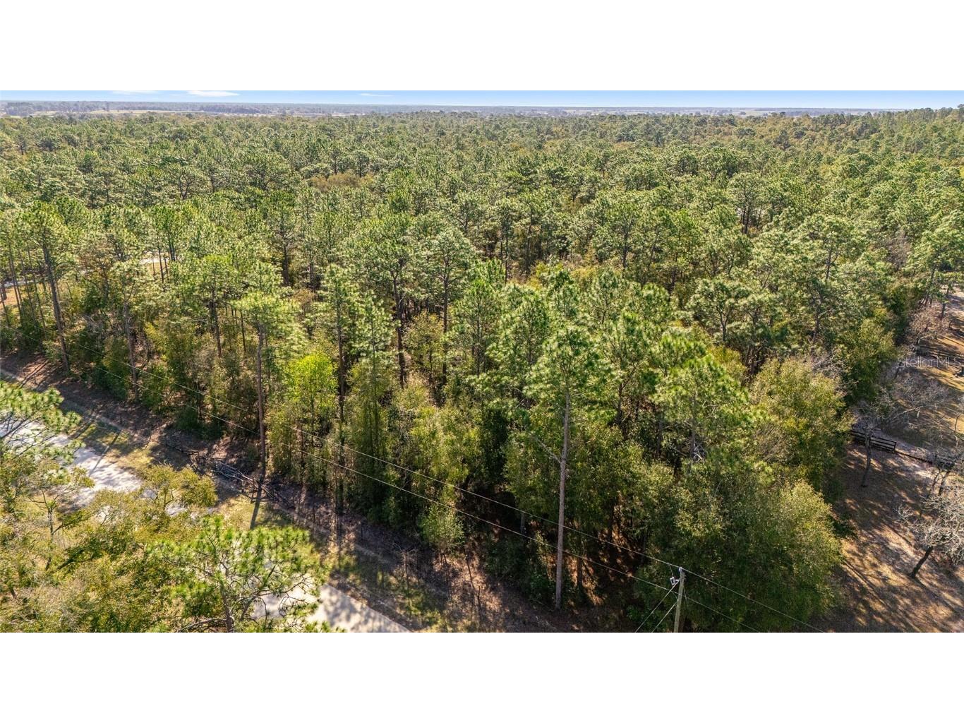 TBD SW 36th Street Ocala FL 34481 OM695238 image18