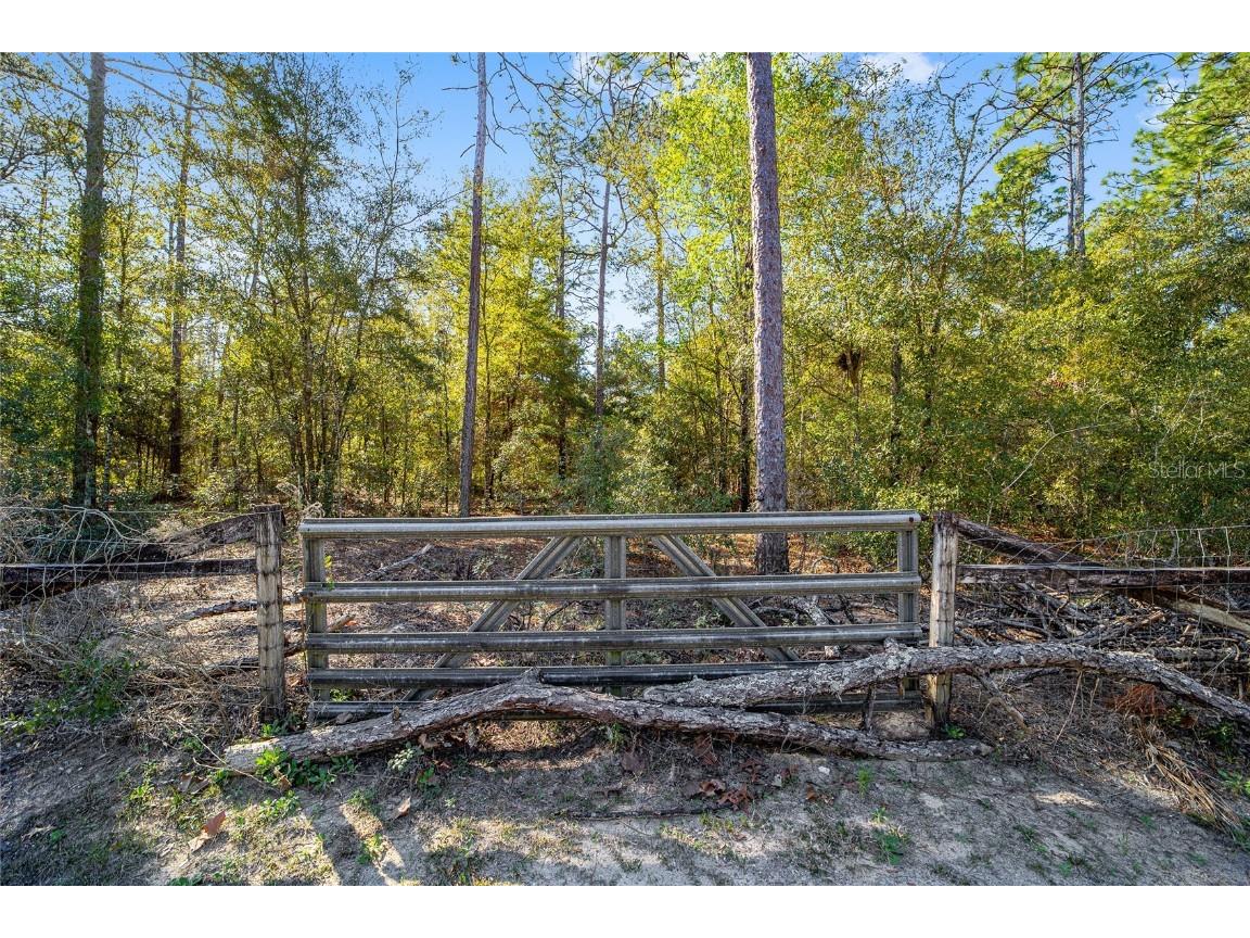 TBD SW 36th Street Ocala FL 34481 OM695238 image3
