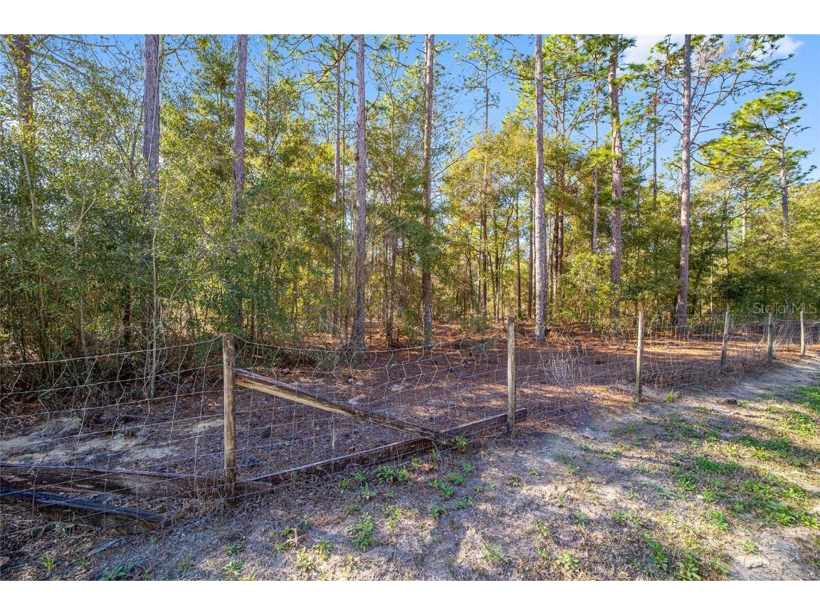 TBD SW 36th Street Ocala FL 34481 OM695238 image6