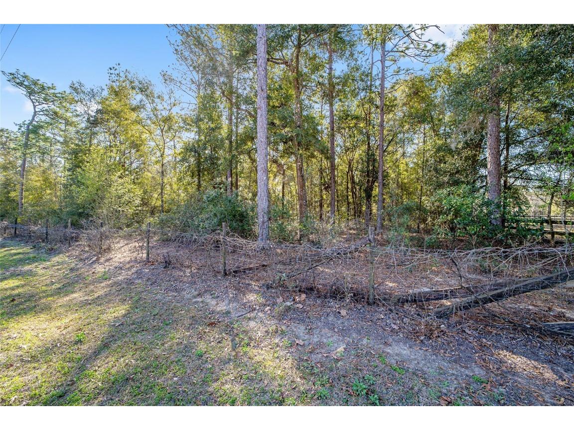 TBD SW 36th Street Ocala FL 34481 OM695238 image8