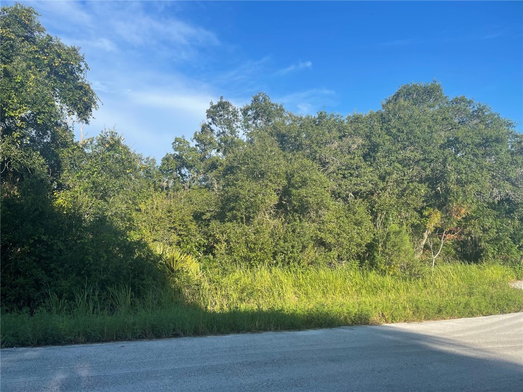 TBD SW 37 Terrace Ocala FL 34476 OM664163 image1