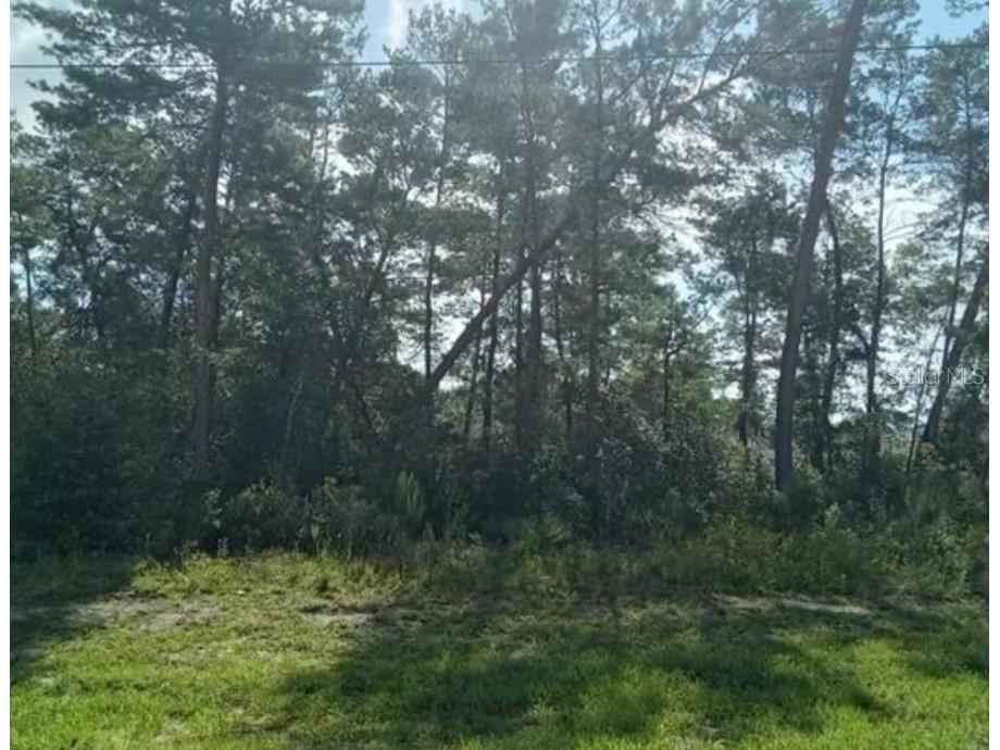 TBD SW 38th Circle Ocala FL 34473 O6164663 image1