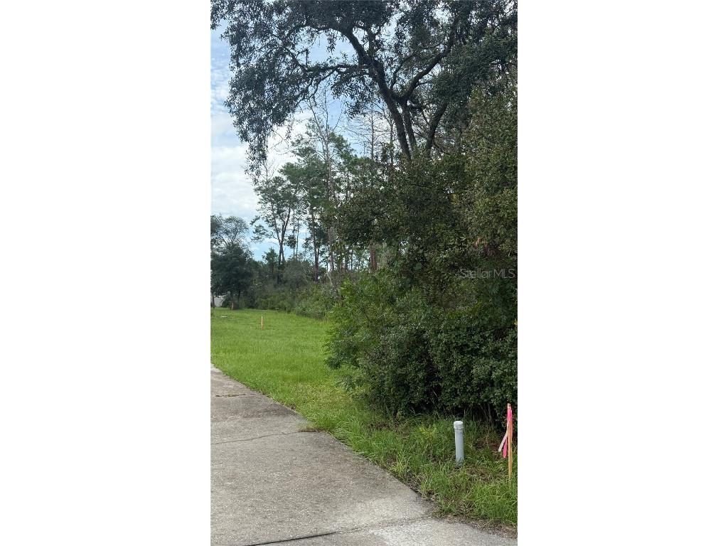 TBD SW 39th Court Ocala FL 34476 OM708203 image3