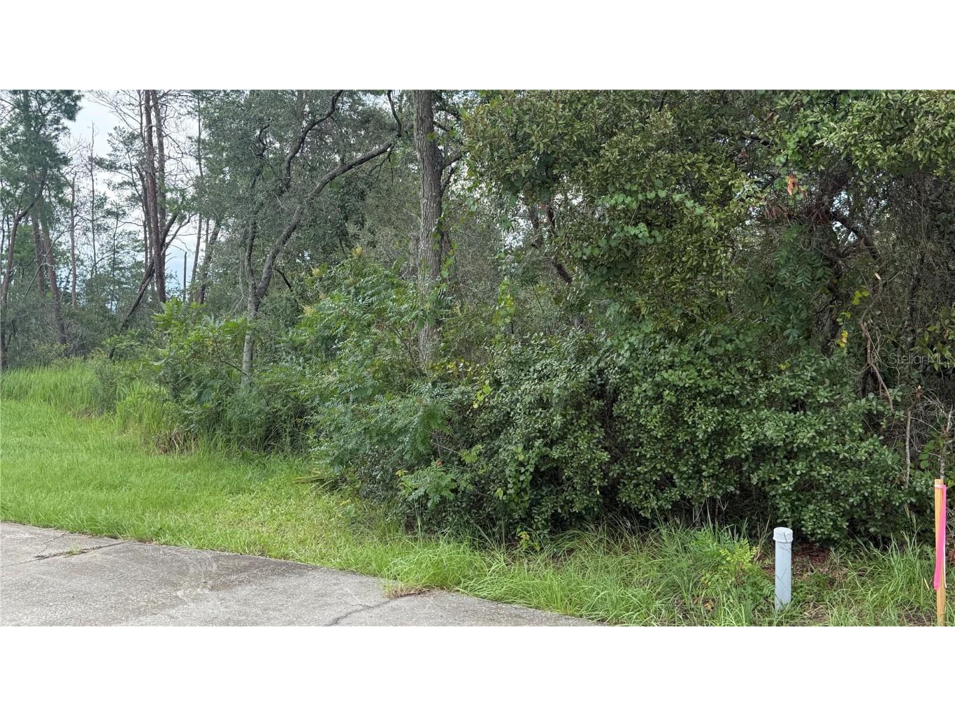 TBD SW 39th Court Ocala FL 34476 OM708203 image4