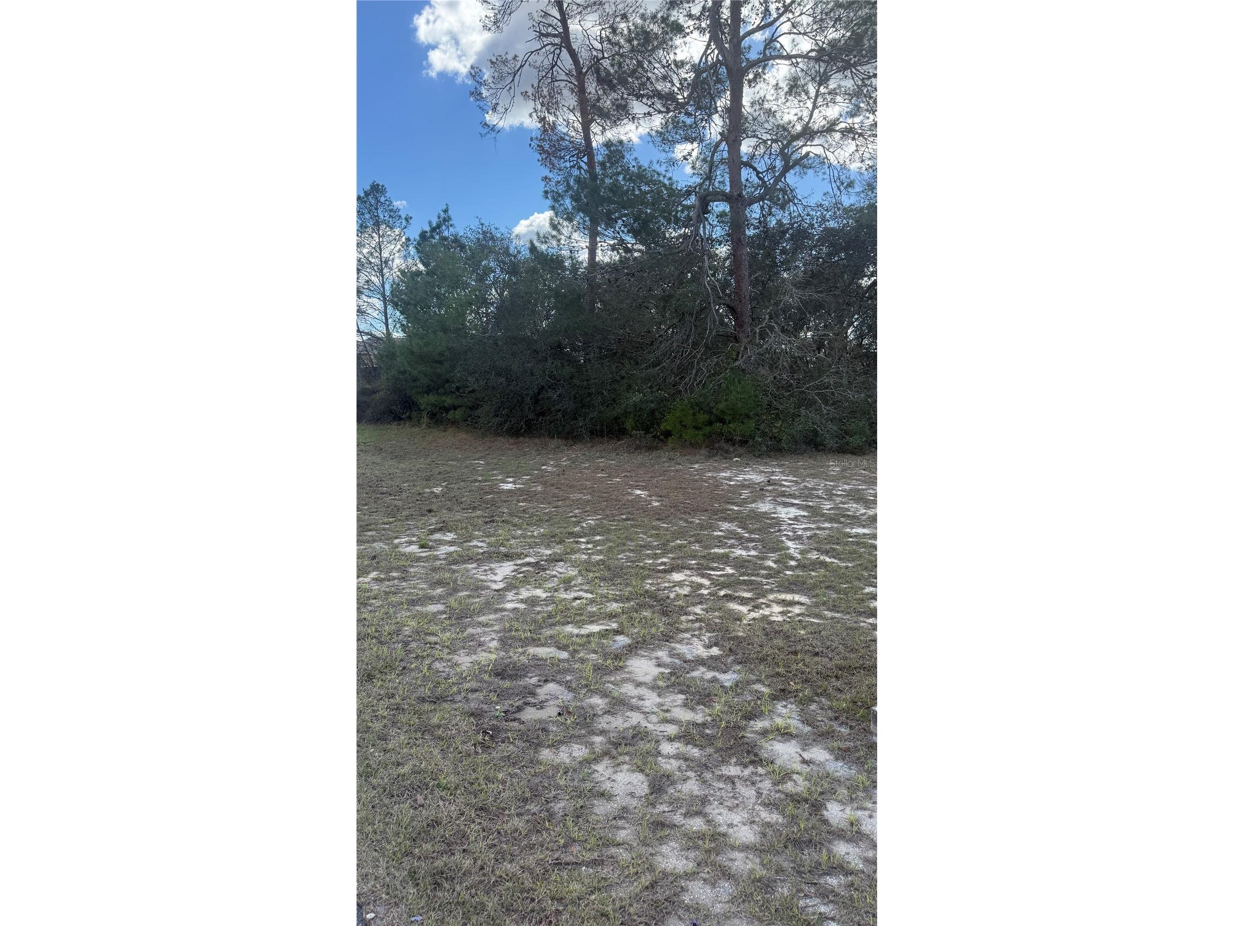 TBD SW 40th Circle Ocala FL 34473 OM720103 image1