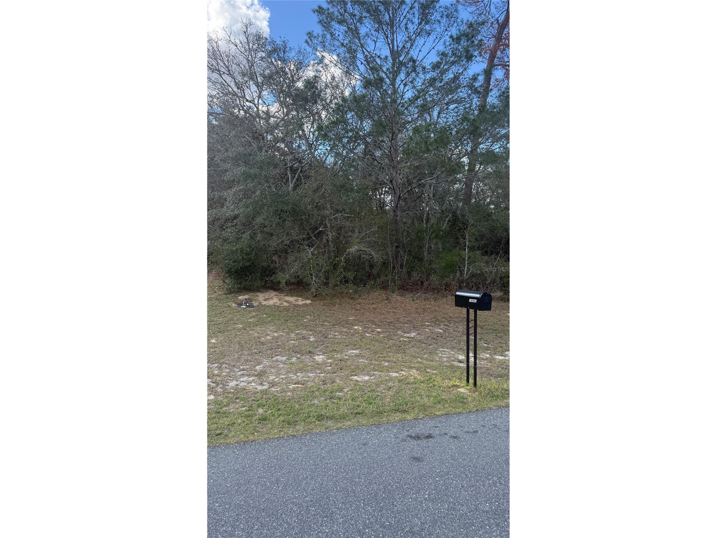 TBD SW 40th Circle Ocala FL 34473 OM720103 image2