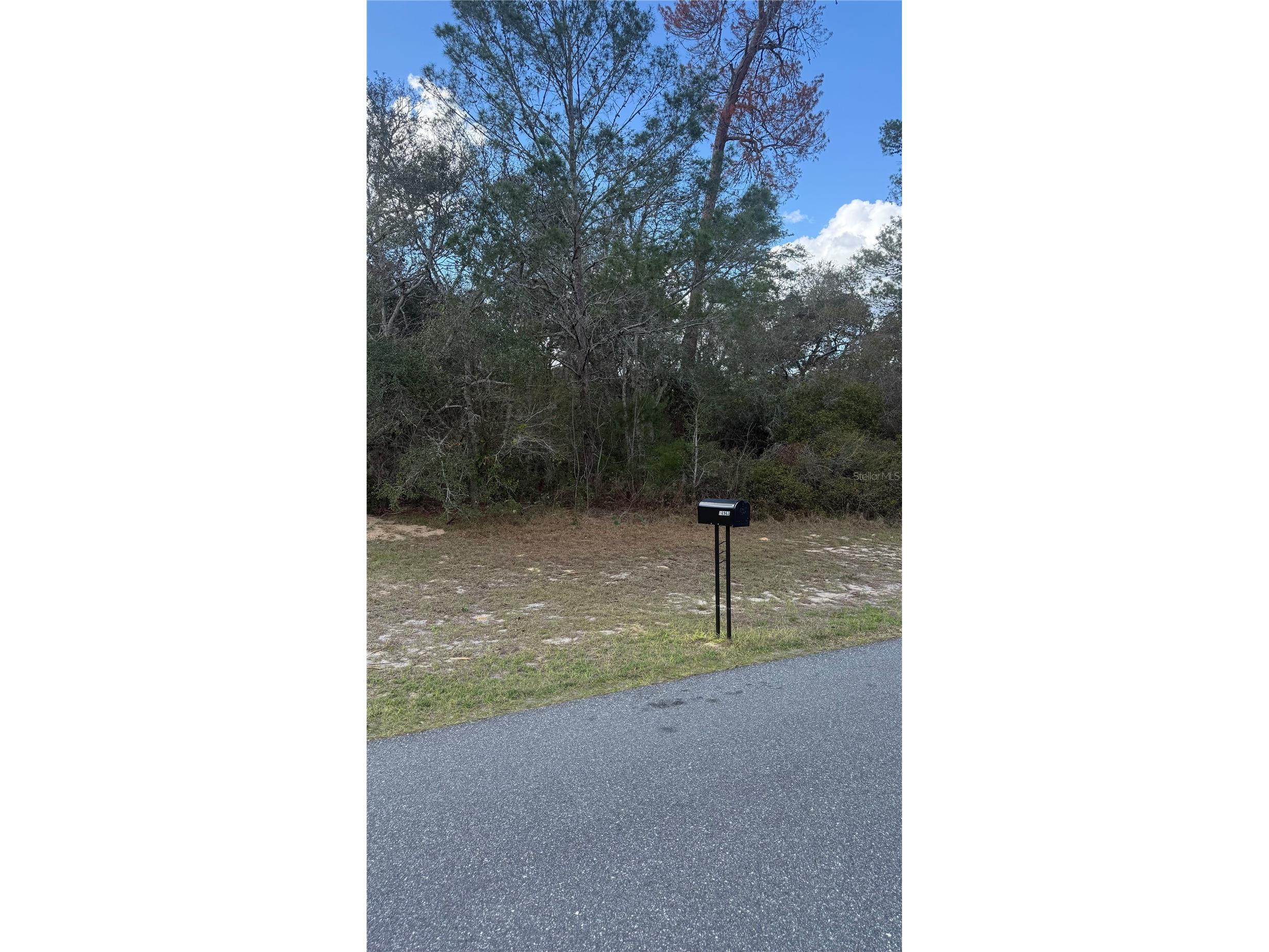 TBD SW 40th Circle Ocala FL 34473 OM720103 image3