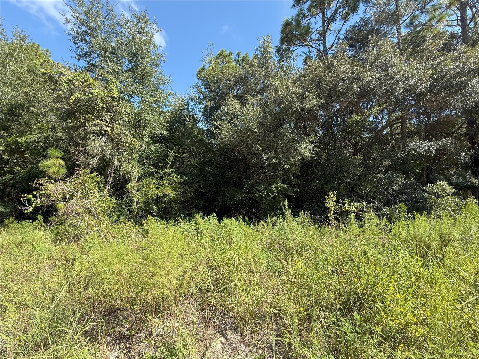 TBD SW 40th Street Dunnellon FL 34432 OM708514 image2