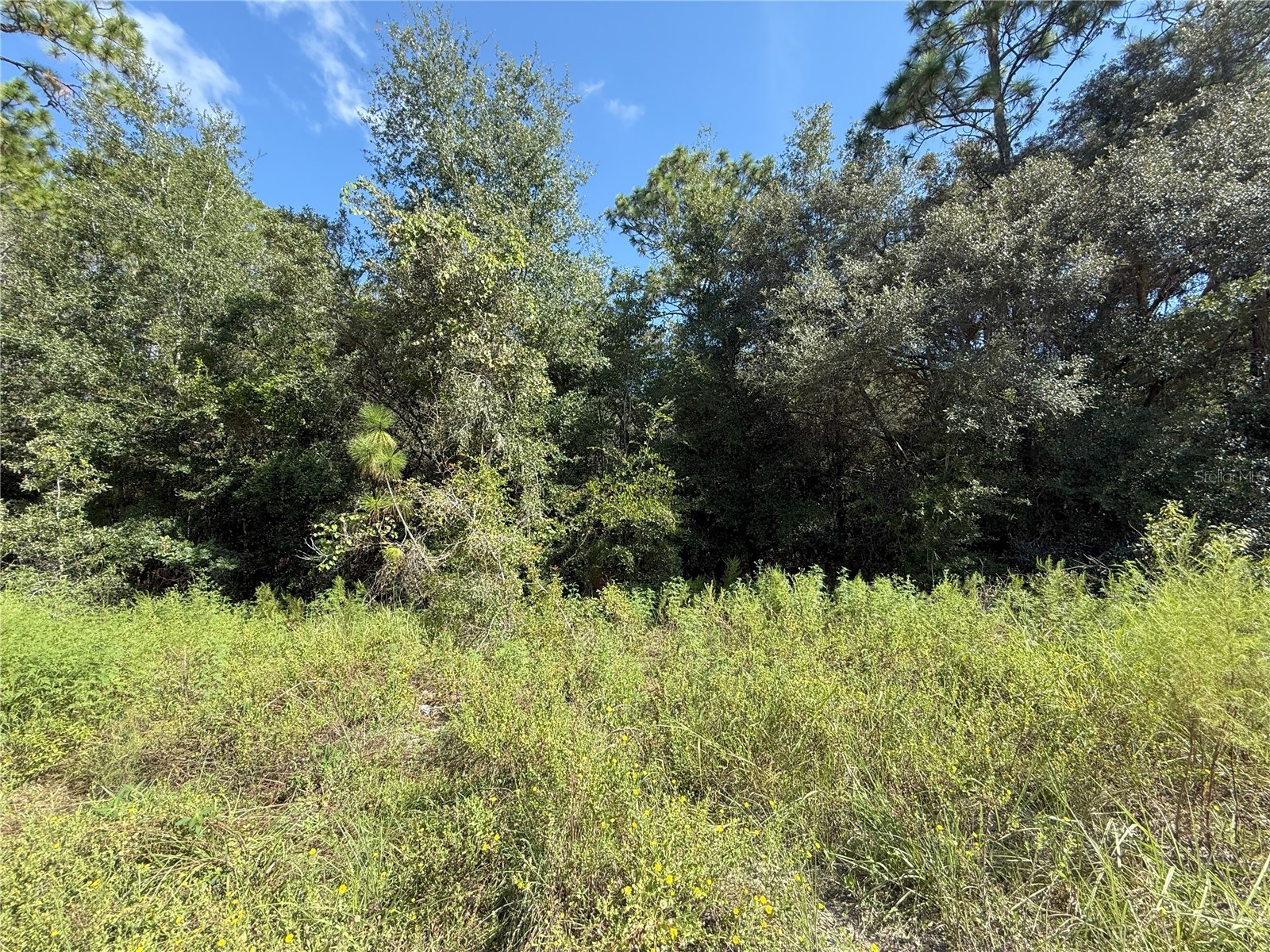 TBD SW 40th Street Dunnellon FL 34432 OM708514 image3
