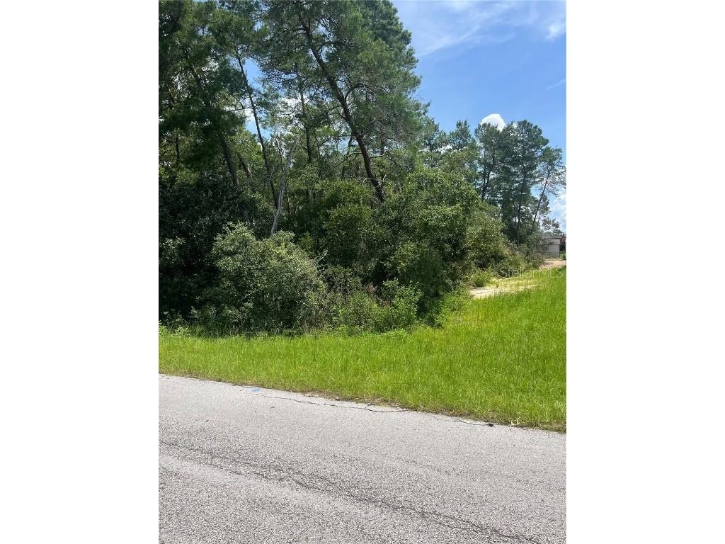 TBD SW 41 Avenue Ocala FL 34476 OM683067 image1