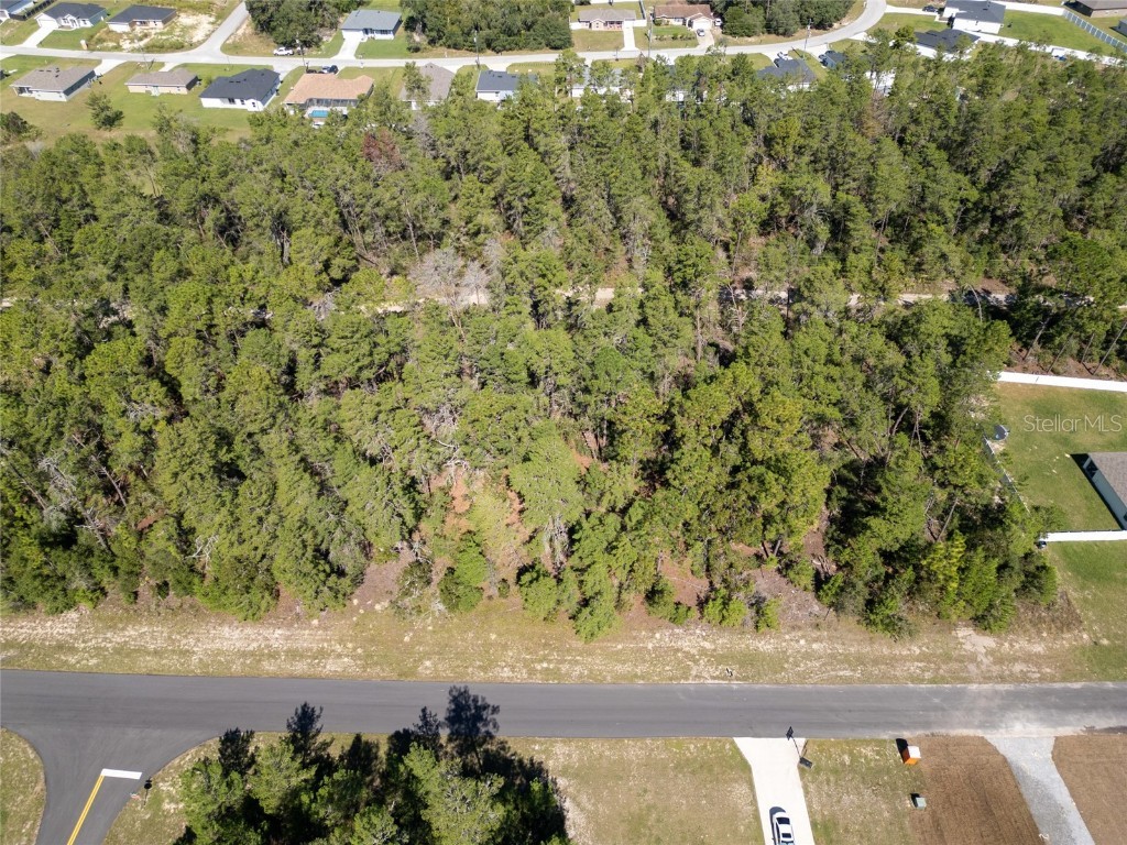 TBD SW 41st Cir Ocala FL 34473 OM711905 image5