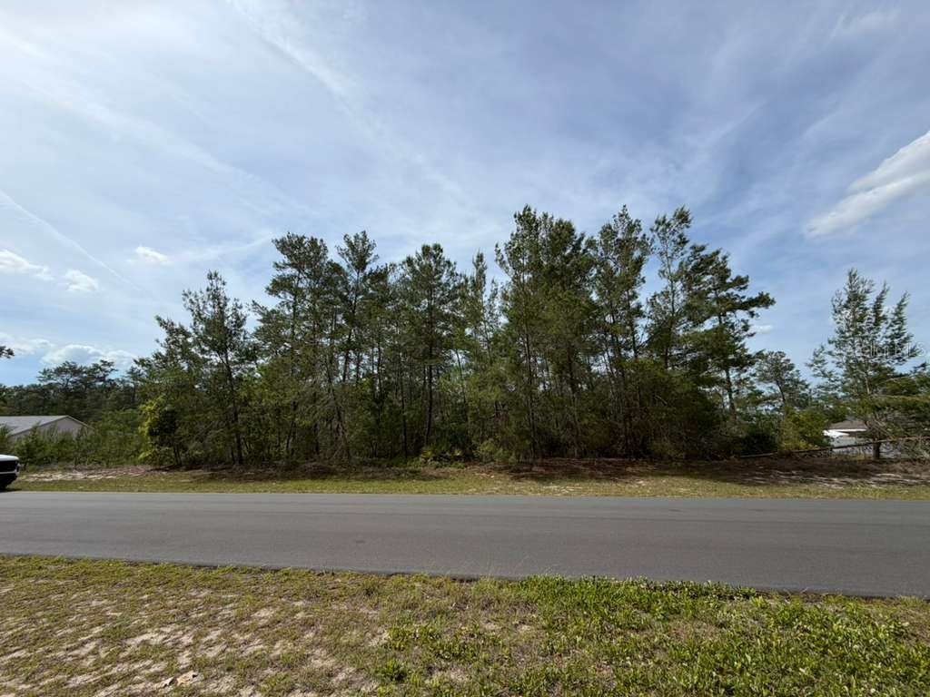 TBD Sw 41st Circle Ocala FL 34473 O6405770 image1
