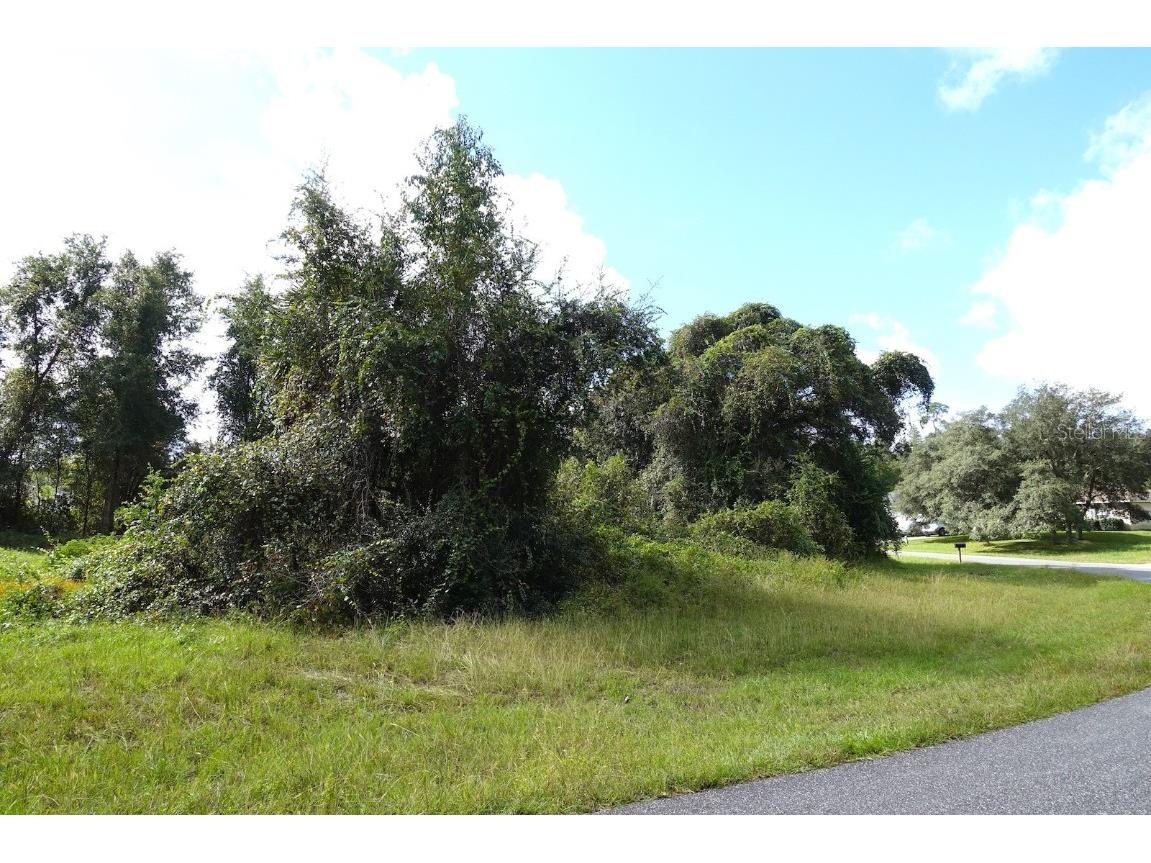 TBD SW 42 Street Ocala FL 34481 OM666686 image1