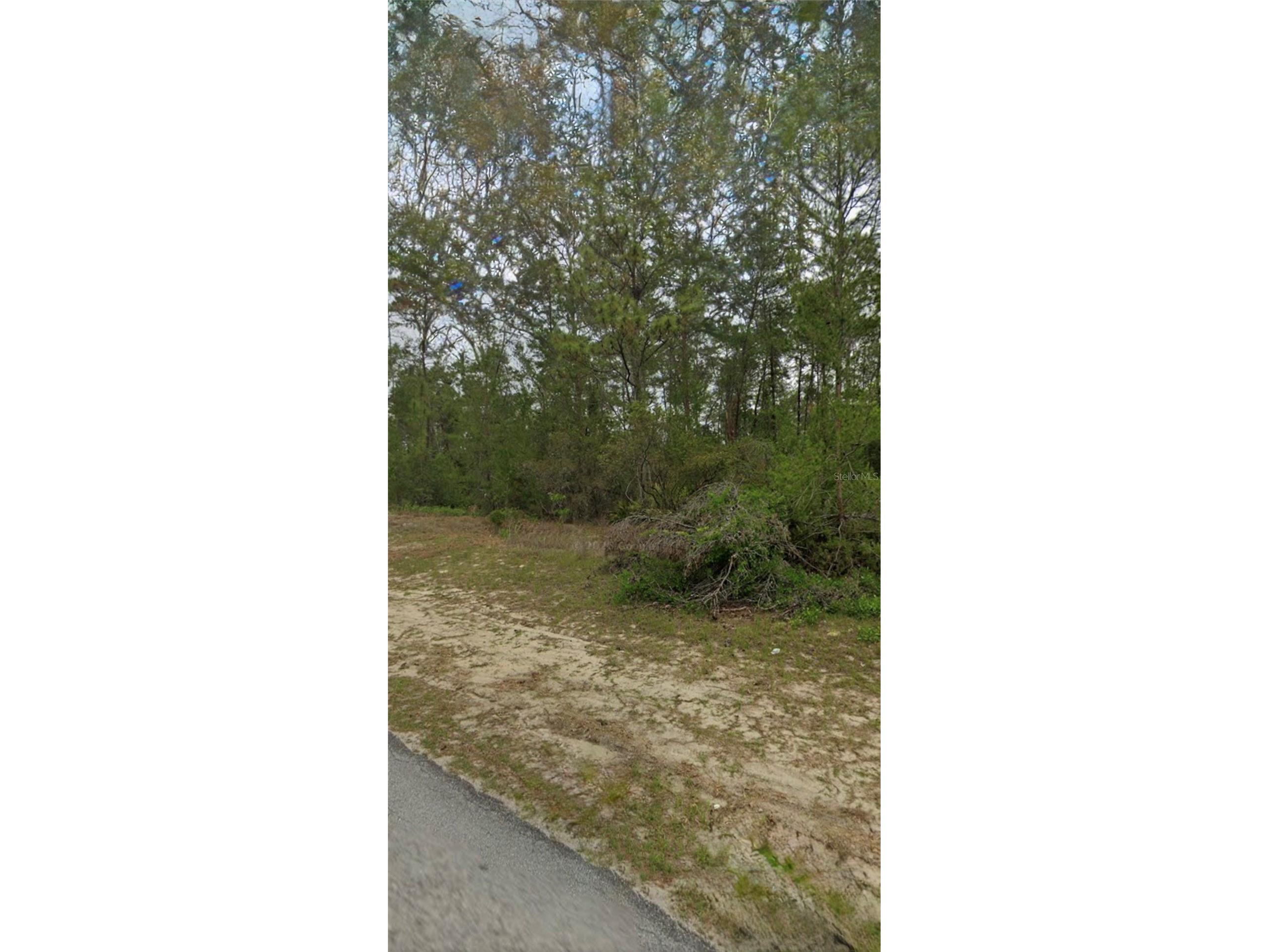 TBD Sw 44th Circle Ocala FL 34473 OM718576 image1
