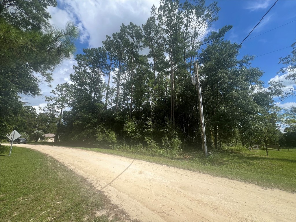 TBD SW 45th Ln Road Ocala FL 34481 OM684878 image1