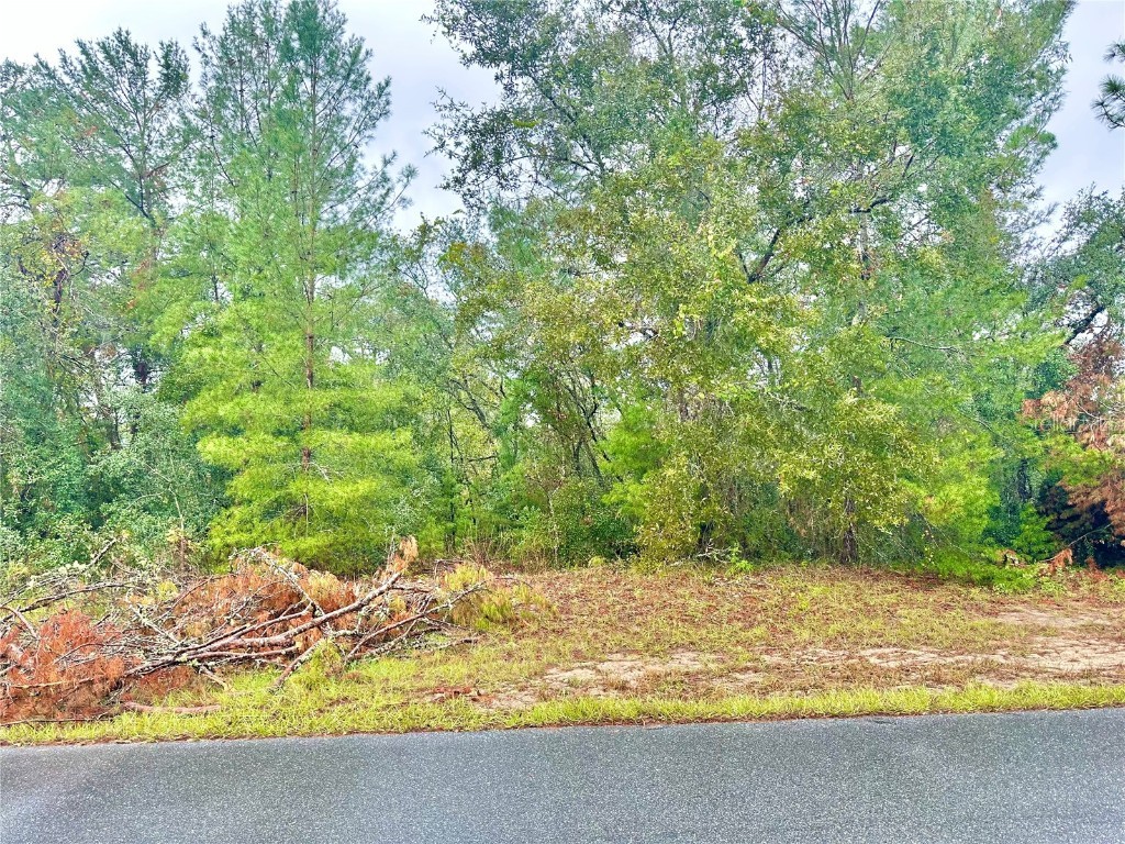 TBD SW 46th Terrace #LOT 41 Ocala FL 34473 O6304772 image1