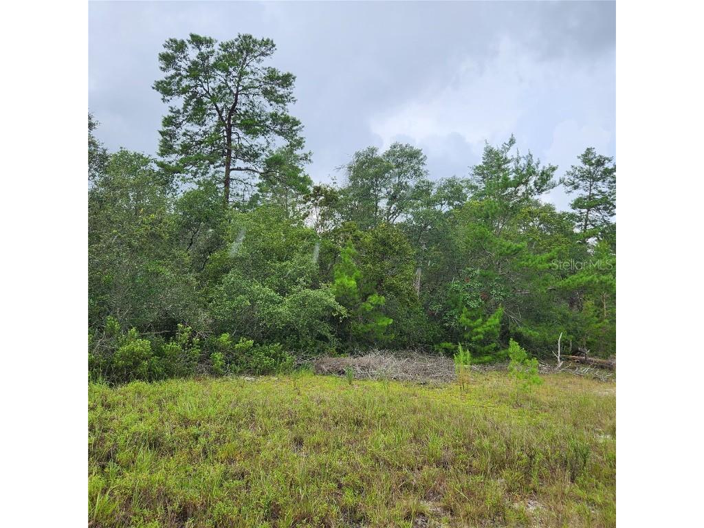 TBD SW 48 Circle Ocala FL 34473 OM660806 image1
