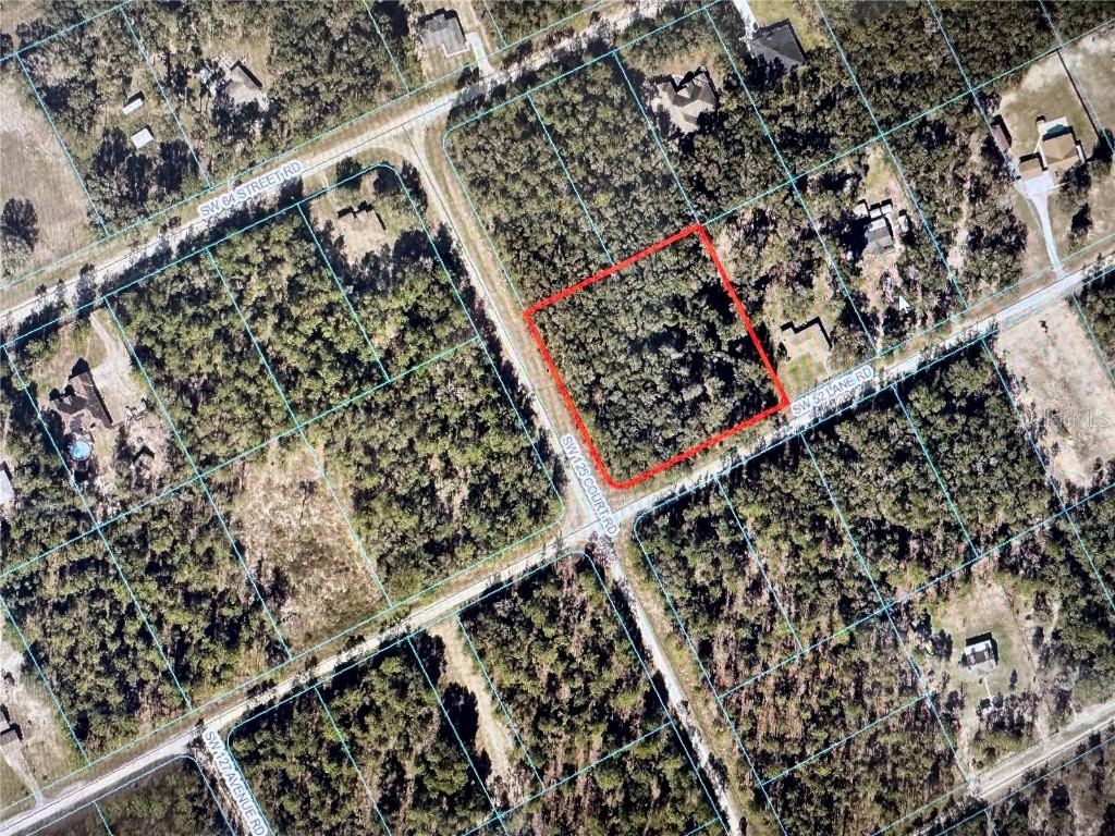 TBD SW 52nd Lane Road Dunnellon FL 34432 OM697027 image1