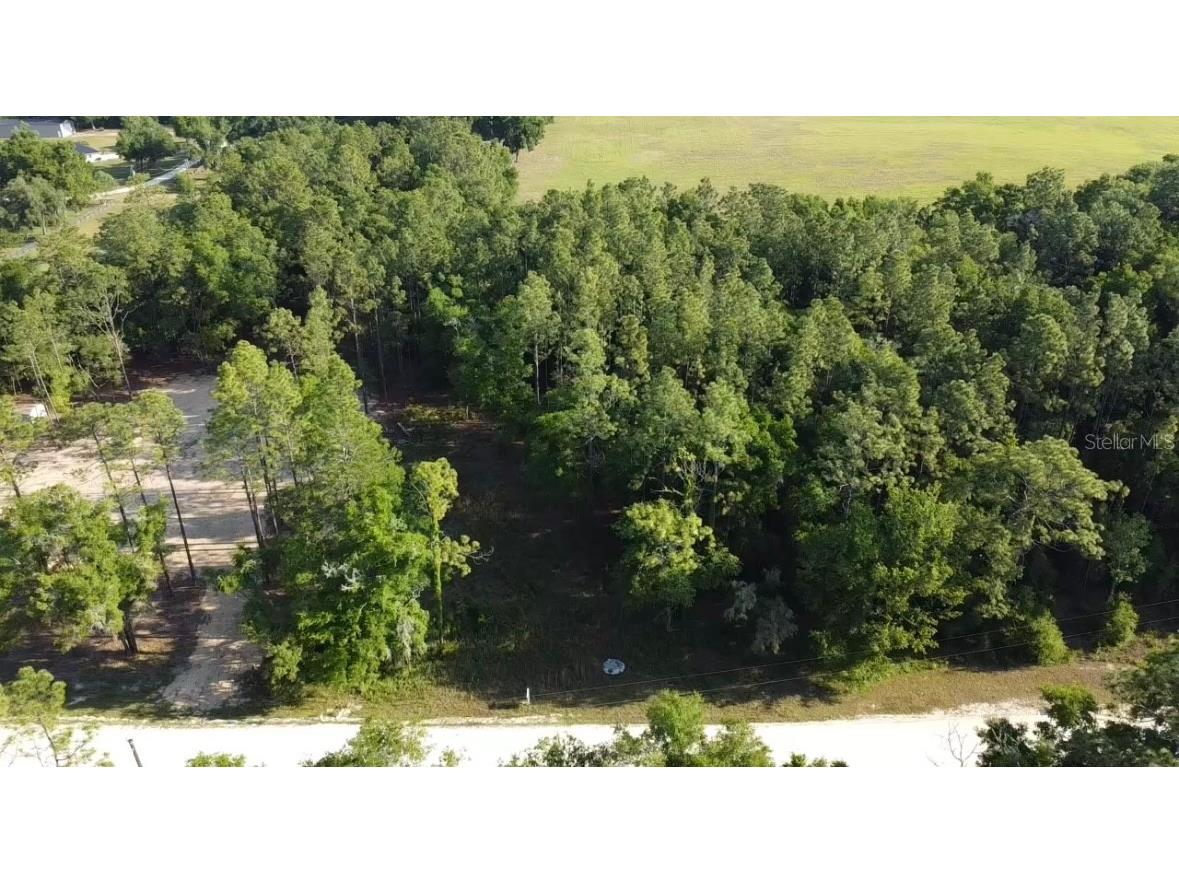 TBD SW 53rd St Ocala FL 34481 OM676959 image1