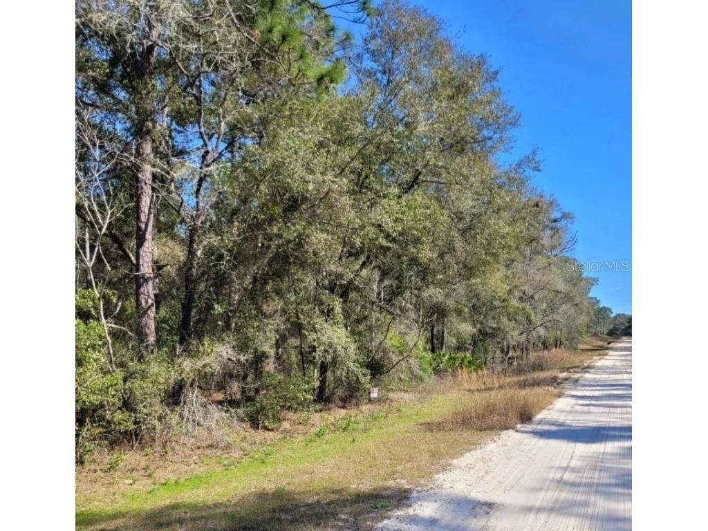 TBD SW 53rd Street Ocala FL 34481 J973124 image1