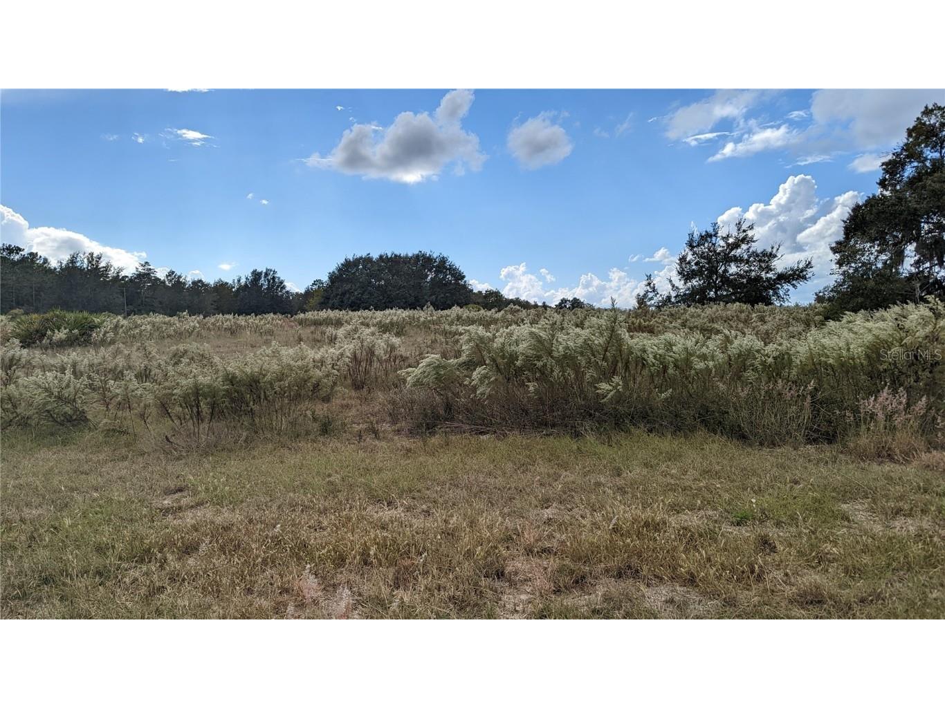 TBD Sw 54th Avenue Rd Ocala FL 34473 OM648147 image1