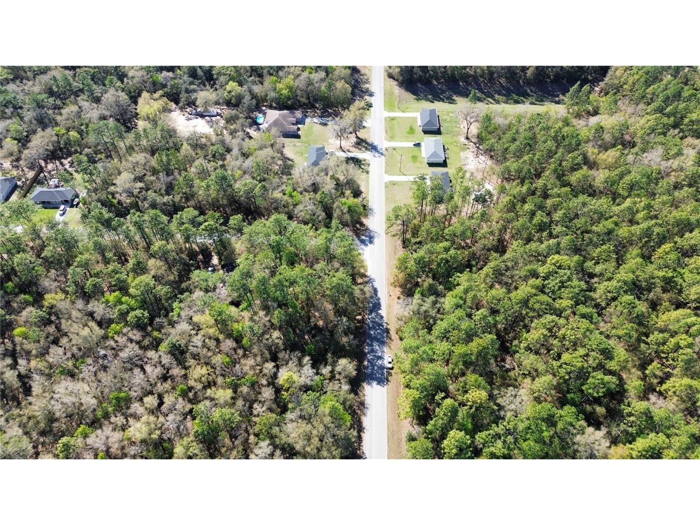 TBD SW 54th Street Dunnellon FL 34431 OM697264 image1