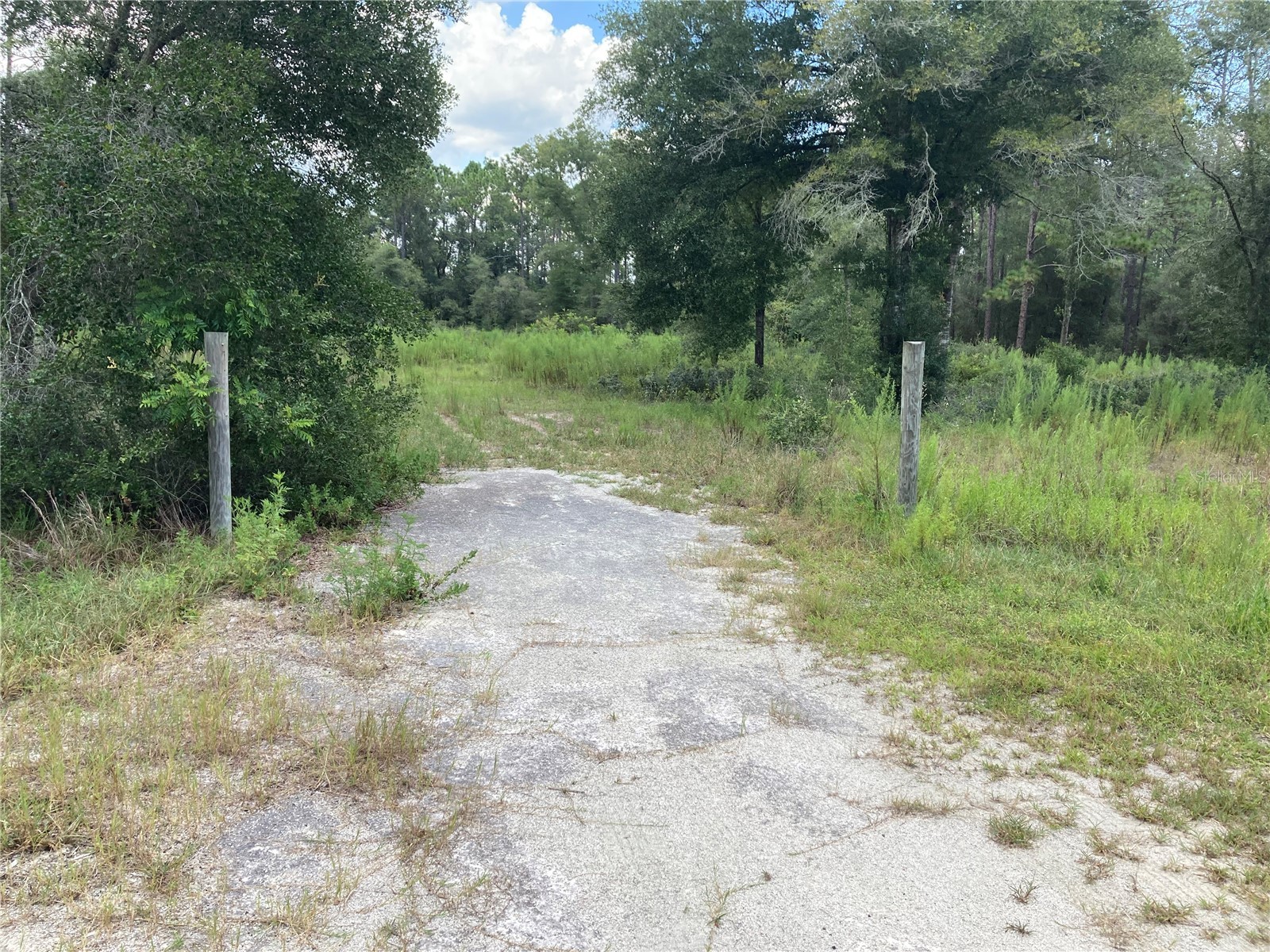 TBD Sw 54th Street Dunnellon FL 34431 OM720341 image5