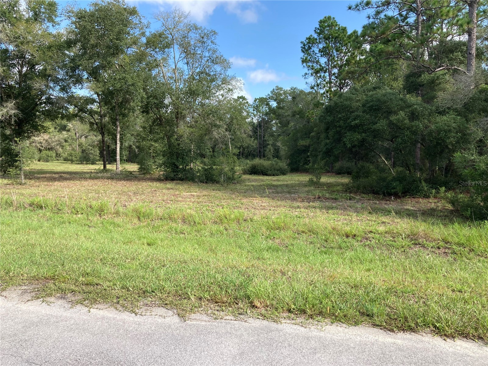 TBD Sw 54th Street Dunnellon FL 34431 OM720341 image7